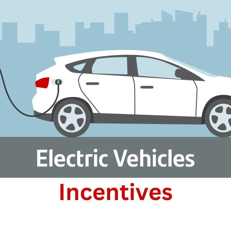When Will Chinese Government Decide on Incentives for Electric Cars?