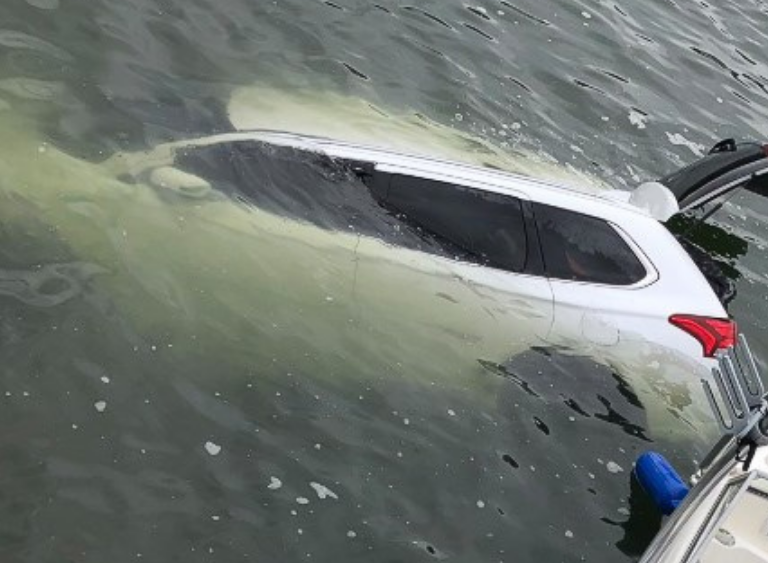 Will Electric Cars Electrocute the Passengers If Submerged in Water?